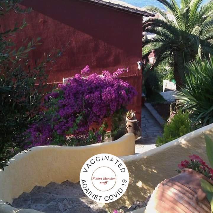 Kontos Mansion Διαμέρισμα Μπενίτσες Εξωτερικό φωτογραφία