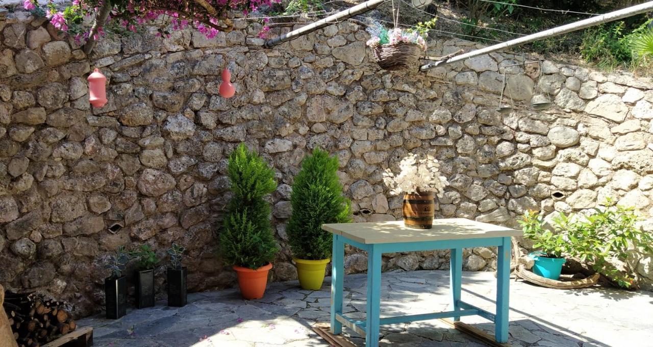 Kontos Mansion Διαμέρισμα Μπενίτσες Εξωτερικό φωτογραφία