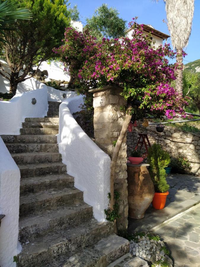 Kontos Mansion Διαμέρισμα Μπενίτσες Εξωτερικό φωτογραφία
